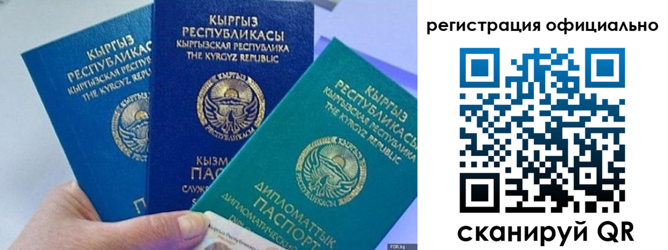 прописка в Боровичах